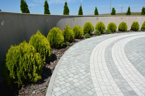 Reasons to Select Us for Your Driveway Paving Requirements in Tok, AK